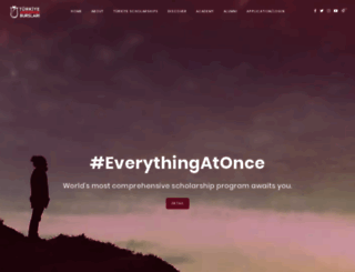 turkiyeburslari.org screenshot