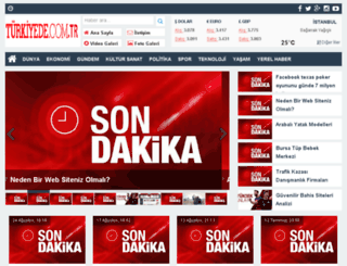 turkiyede.com.tr screenshot
