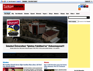 turkiyeinternette.com screenshot