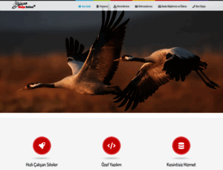 turnatasarim.com screenshot