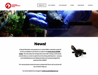 turtleoblonganetwork.org.au screenshot