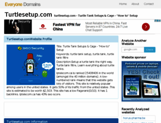 turtlesetup.com.everyone.domains screenshot