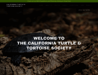turtlesociety.org screenshot