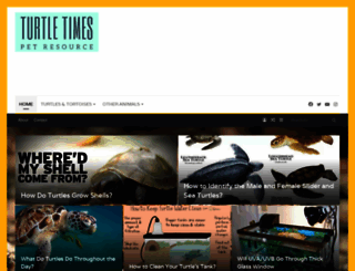 turtletimes.com screenshot