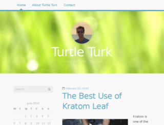 turtleturk.com screenshot