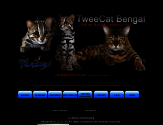tweecat.com screenshot