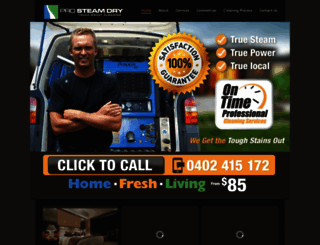 tweedcoastcarpetcleaning.com.au screenshot