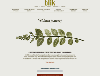 tylerblik.com screenshot