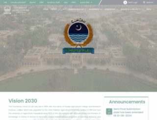 uaf.edu.pk screenshot