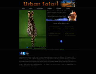 urbansafaricattery.com screenshot