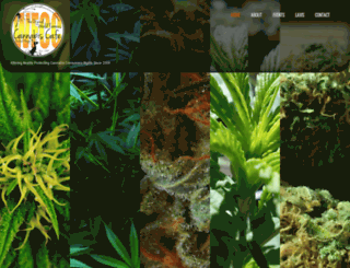 usaworldfamouscannabiscafe.com screenshot