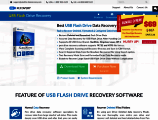 usbdrive-datarecovery.com screenshot