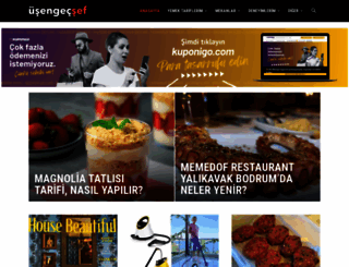 usengecsef.com screenshot