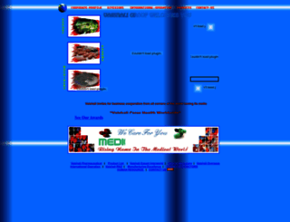 vaishaligroup.com screenshot