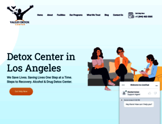 valleydetoxcenter.com screenshot