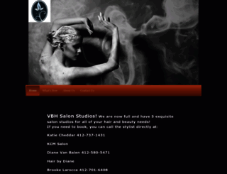 vansalon.com screenshot