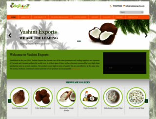vashiniexports.com screenshot