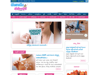 vasundhara.net screenshot