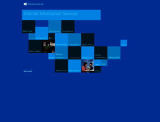 vegnet.cn screenshot