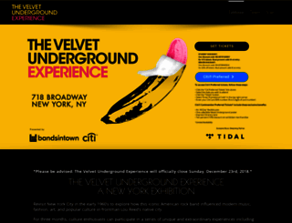 velvetunderground-experience.com screenshot