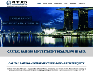ventures-international.net screenshot