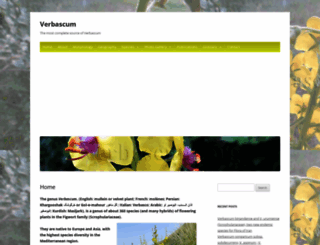 verbascum.org screenshot