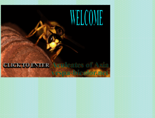 vespa-bicolor.net screenshot