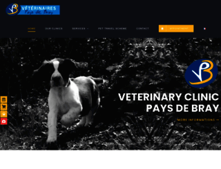 vetbray.fr screenshot