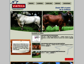 viateca.com screenshot