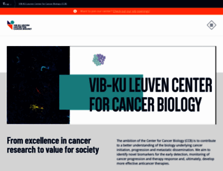 vibcancer.be screenshot