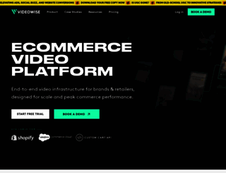 videowise.com screenshot