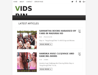 vidsbin.com screenshot