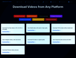 vidsdownloader.com screenshot