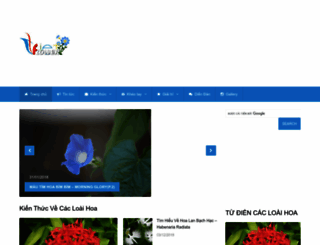 vietflower.info screenshot