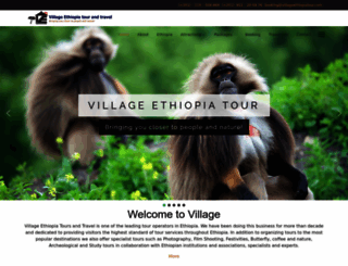 villageethiopiatour.com screenshot