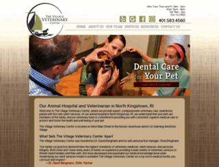 villagevetsri.com screenshot