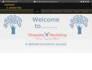 vinayakaemarketing.com screenshot