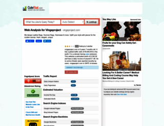 vingeproject.com.cutestat.com screenshot