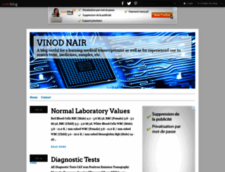 vinmya.over-blog.com screenshot