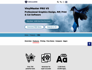 vinylmasterpro.com screenshot