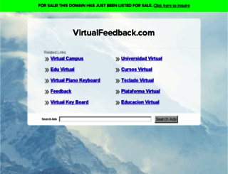 virtualfeedback.com screenshot