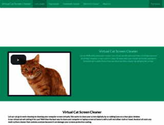 virtualscreencleaners.com screenshot