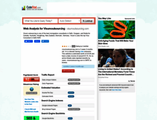 visumoutsourcing.com.cutestat.com screenshot
