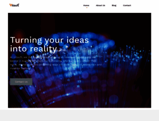 vitisoft.com screenshot