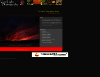 vividlight.com screenshot