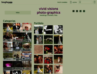 vividvisionsgallery.com screenshot