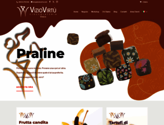 viziovirtu.com screenshot