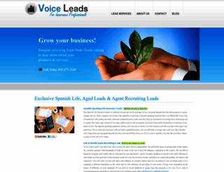 voiceleads.us screenshot