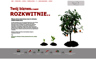 vsp24.eu screenshot