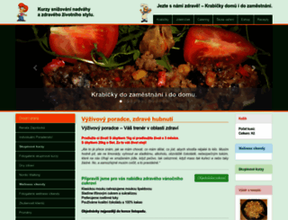 vyzivovyporadce-hubnuti.cz screenshot